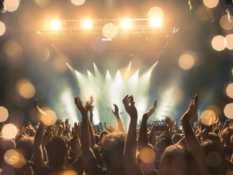 Music festival crowd